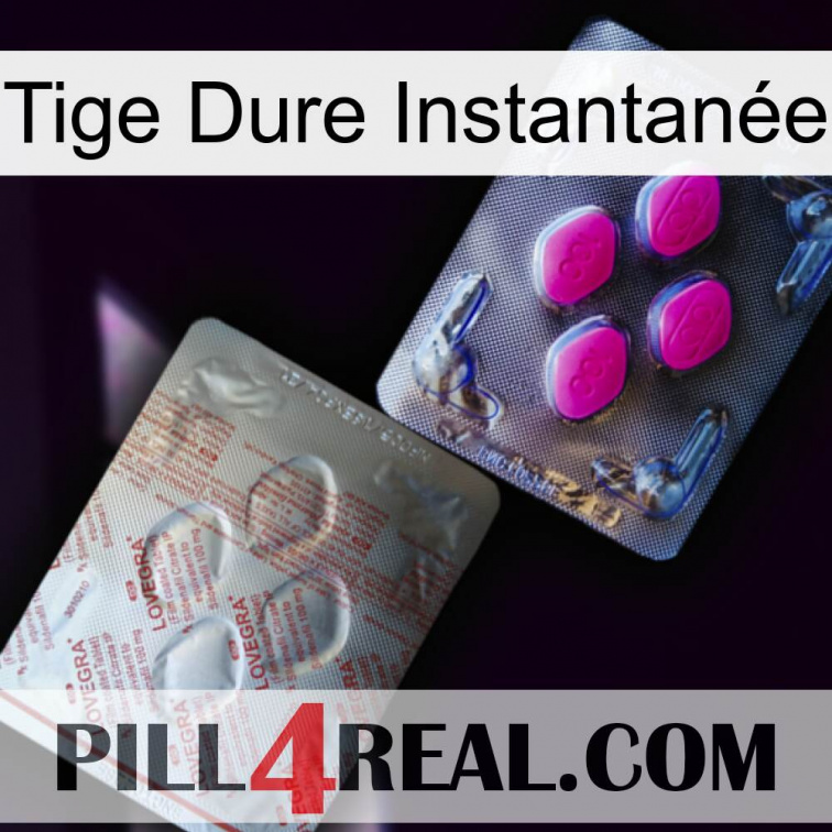 Tige Dure Instantanée 38